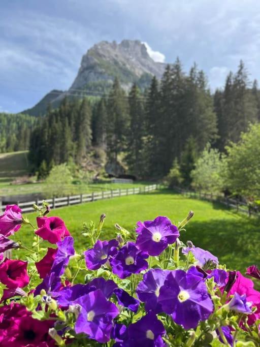 Sellaronda - Ciampac Experience Apartman Alba di Canazei Kültér fotó
