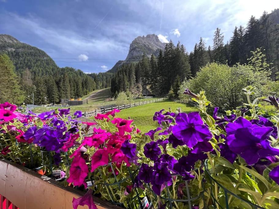 Sellaronda - Ciampac Experience Apartman Alba di Canazei Kültér fotó
