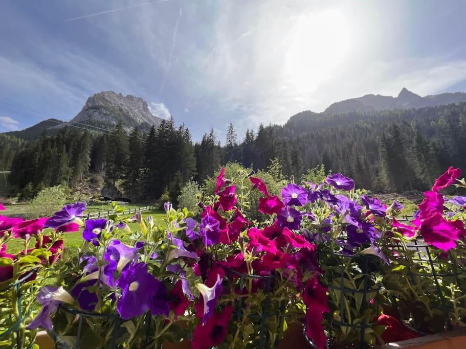 Sellaronda - Ciampac Experience Apartman Alba di Canazei Kültér fotó